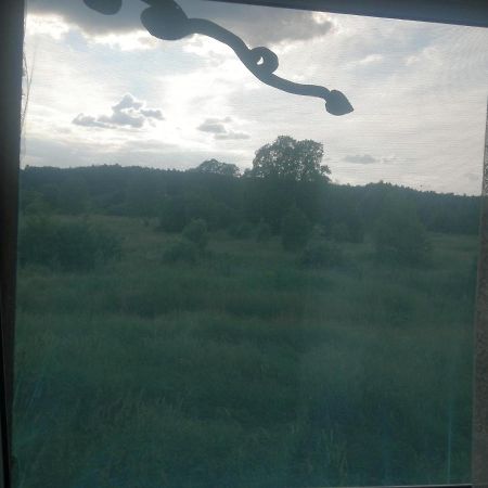Ostoja Daire Białowieża Dış mekan fotoğraf