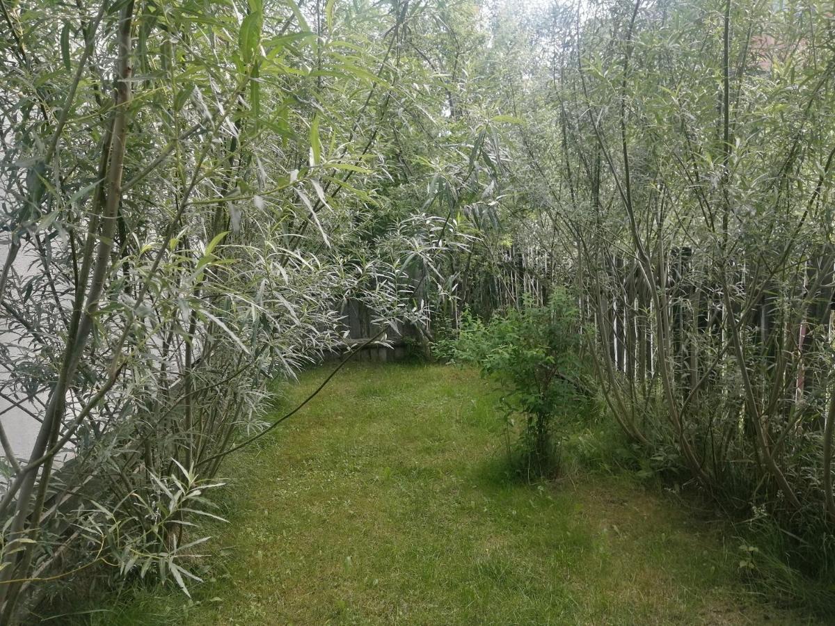 Ostoja Daire Białowieża Dış mekan fotoğraf