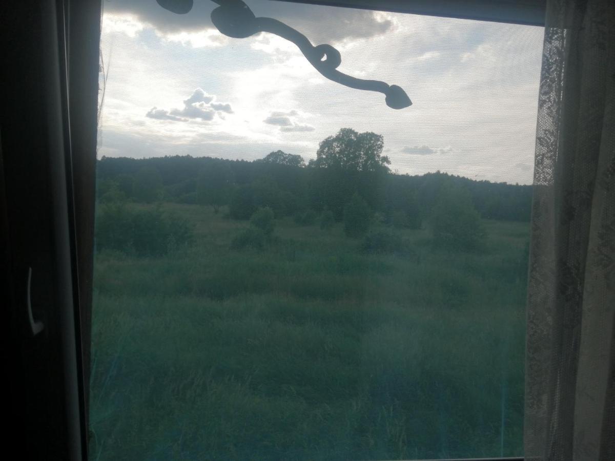 Ostoja Daire Białowieża Dış mekan fotoğraf
