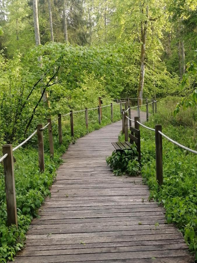 Ostoja Daire Białowieża Dış mekan fotoğraf