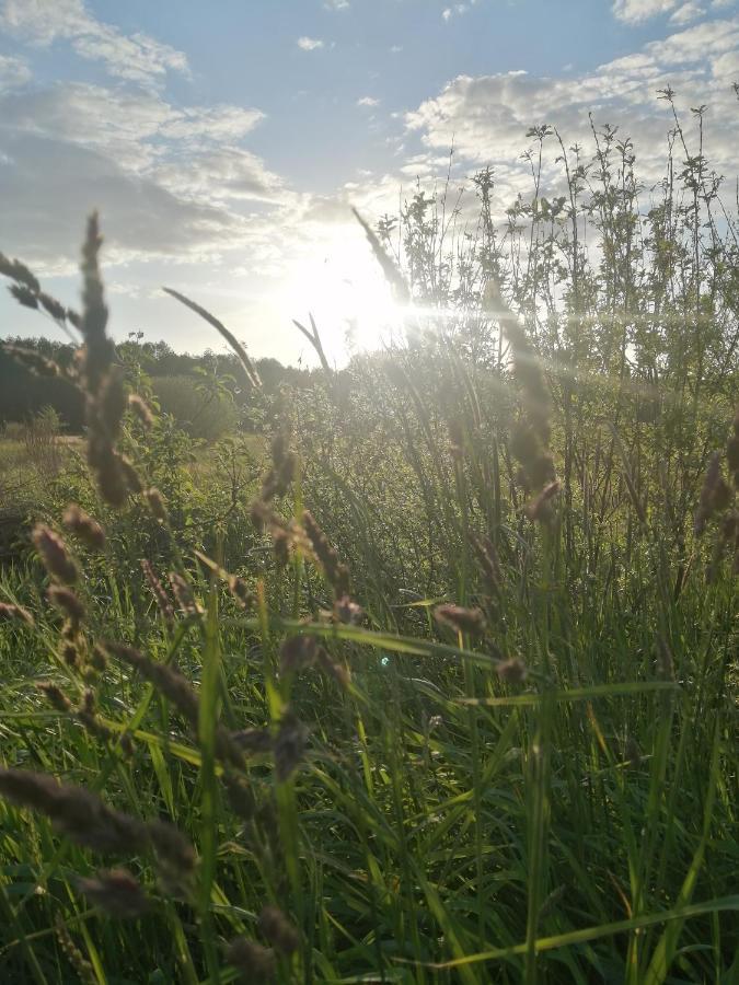 Ostoja Daire Białowieża Dış mekan fotoğraf