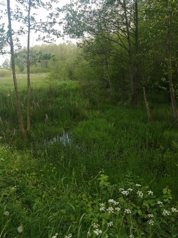Ostoja Daire Białowieża Dış mekan fotoğraf