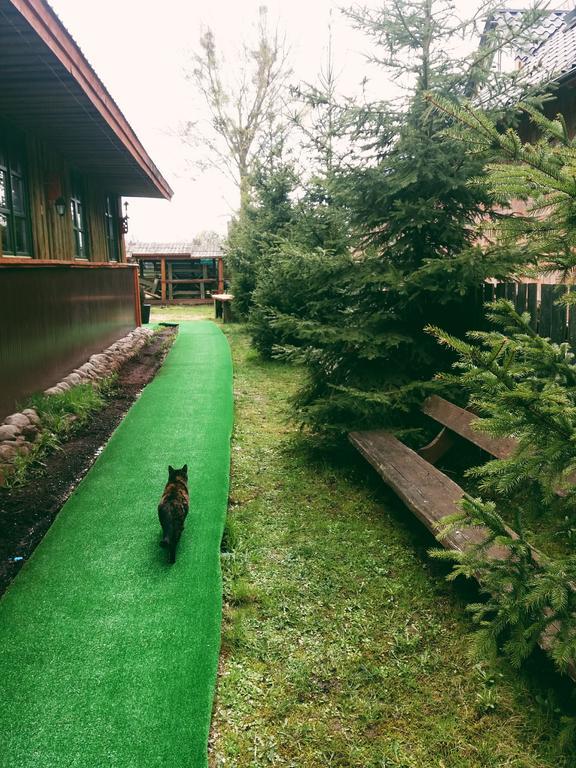 Ostoja Daire Białowieża Dış mekan fotoğraf