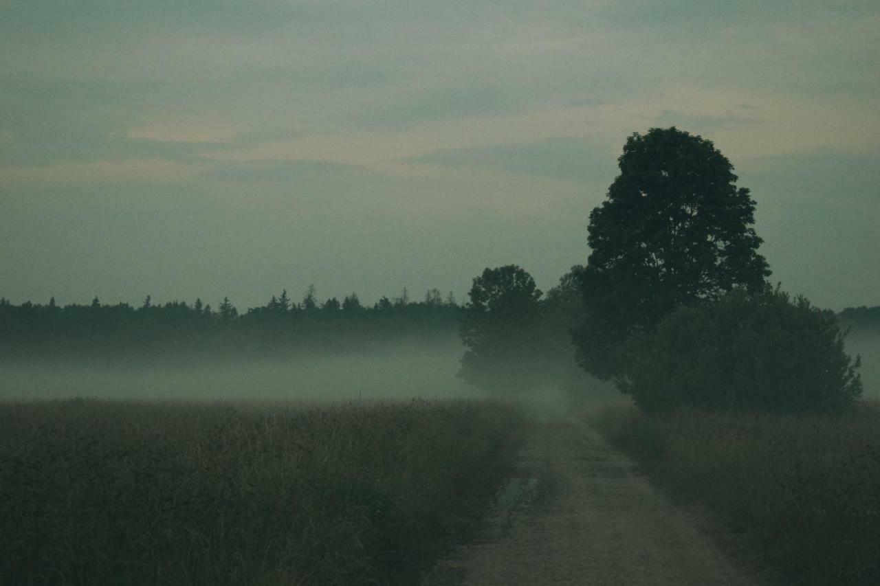 Ostoja Daire Białowieża Dış mekan fotoğraf